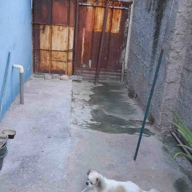Venta de casa independiente - 4/10