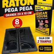Trampa de ratón pega pega grande - Img 56893902