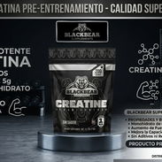 Blackbear Creatina Monohidratada - Img 56367324