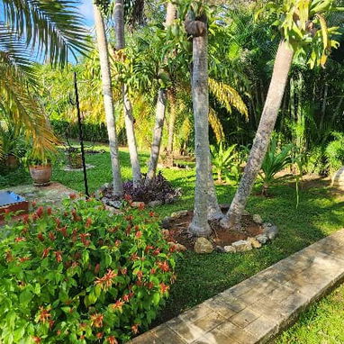 Venta de hermoso chalet en Fontanar - 2/10