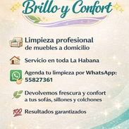 ​🧼 Limpieza Profesional: Muebles, Autos, Alfombras y Más 🧼 - Img 54876053