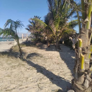 ⛱️🐶🐕 ¡Escápate al paraíso con toda la familia y tus mascotas en playa Guanabo! ⛱️ - Img 122914729