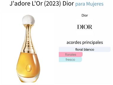 Vendo Perfumes originales 100% - Img 67150087