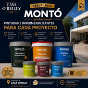 PINTURAS MONTO - Img 55825388