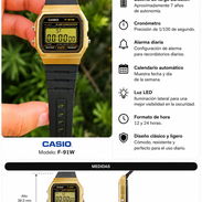 CASIO - Img 55757305