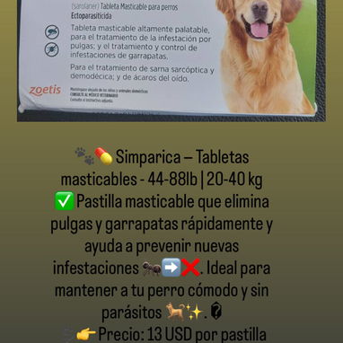 ArtĂculos para mascotas - Img 121178709