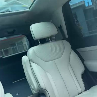 Hyundai palisade calligraphy 2025 - Img 124930159