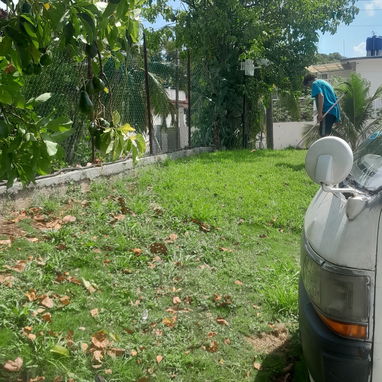 Servicios de Jardinería y Limpieza de exteriores (trabajamos en la mayoría de los municipios) - Img 122417684