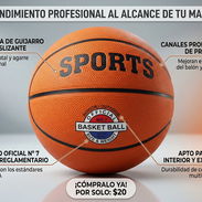 Basket pelota - Img 55578589