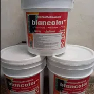 Pintura - Img 55839863