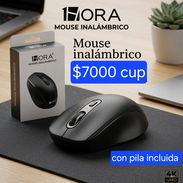 Mouse inalámbricos 1Hora - Img 57011994