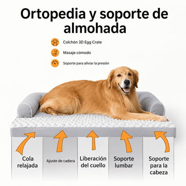 Cama ortopédica Cama ortopédica lavable para perros con cojín para perros medianos a grandes - Img 125800362
