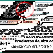 Fumigaciones en todos los municipios de la habana - Img 49469840
