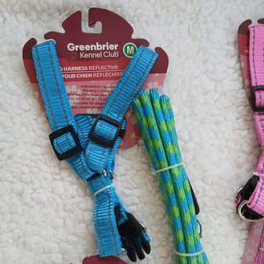 🐾🐶JUEGOS DE PECHERAS Y CORREA PARA SU MASCOTA🐕‍🦺🐶🐾 - 4/4
