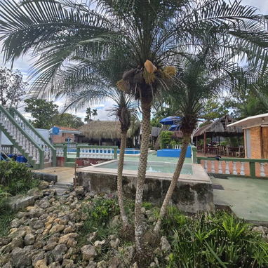 COD.Z ¡🌞 Disponible para 100 personas. Alquiler de piscina para pasadía y eventos. Boyeros ✨ - 3/4