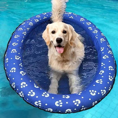 Flotador /piscina para perros, flotadores inflables para perros, flotadores de piscina para perros, flotadores de piscin - Img 87833621