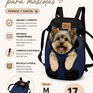 ‼️Cargador para mascotas‼️ Perros y gatos. - Img 55538020