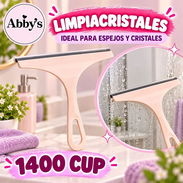 Limpiacristales - Img 57660005