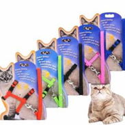Arreos para gatos - Img 54786481