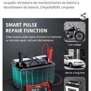 Cargador de bateria inteligente 12v y 24v de 10 amp para todo tipo de bateria - Img 45955024