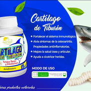 Cartílago de Tiburón(Fortalece huesos y articulaciones) - Img 56946822
