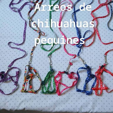 ARTÍCULOS BELLOS PARA MASCOTA 🐶 - 5/10