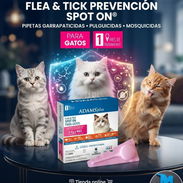 Pipeta original Adams para gatos - Img 56434390