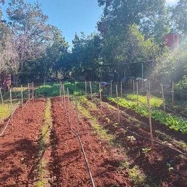 Venta de Casa en La Lisa San Agustín - Img 124411429