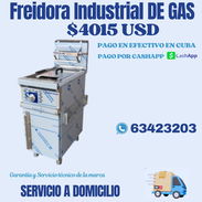 FREIDORA INDUSTRIAL DE GAS - Img 57317893