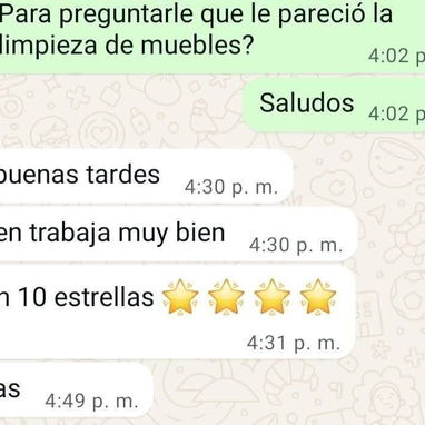 🧼 Limpieza Profesional: Muebles, Autos, Alfombras y Más 🧼 - Img 119008829