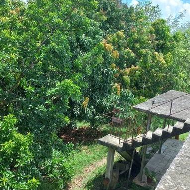 OPORTUNIDAD: Finca con 2 casas, amplio terreno, entorno natural. Propiedad ideal para tu proyecto de negocio. - Img 122489563