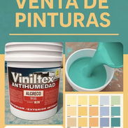 Pintura original - Img 54186411