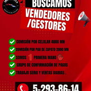 GESTORES DE VENTA - Img 55170163