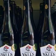 🍷Vino Tinto🍷 🎩BARÓN DE VALLS🎩 ✅11.5%Vol✅ - Img 50340063