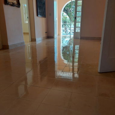 Pulidores de piso profesionales - Img 127904762