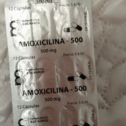 AMOXICILINA MG 500 12 CASULAS - Img 52110892