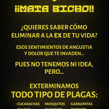 FUMIGADOR -EXTERMINADOR FUMIGACIÓN DE Cucaracha Chinche Garrapata Pulga Ratones Ratas Hormigas Moscas Mosquitos - Img 94231027