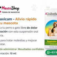 Relaxicam Antiinflamatorio para perros y gatos - Img 57679980