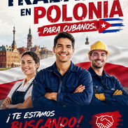 TRABAJO EN POLONIA – SALARIOS DESDE 1.500 USD - Img 57003031