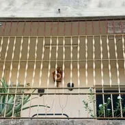 Se vende apartamento ubicado en el Casino Deportivo - Img 55798496