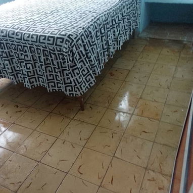 OFREZCO APARTAMENTO EN FONTANAR 2 PISO CON GARAGE 3 CUARTO REBAJADA 13000 - Img 124949967