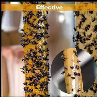 Cintas y Trampas 🪰🪳🦟Atrapa Moscas /Insectos s - Img 111712309