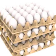 Se vende cartón de huevos - Img 45524092