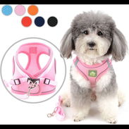 ✅️PECHERAS ARREOS PARA SU MASCOTA📲🐶🐾😺 - Img 55025877