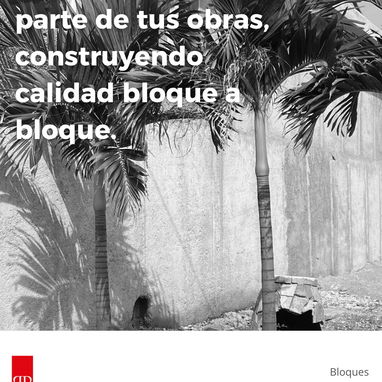 Bloques originales de concreto 40x15x20 cm - 9/10