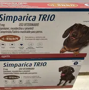 Simparica trio - Img 50643992