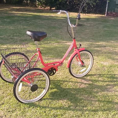 Triciclo - 4/4