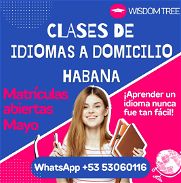 CLASES DE IDIOMAS A DOMICILIO (INGLÉS, FRANCÉS, ITALIANO, RUSO Y CHINO) 53060116 - Img 42775682