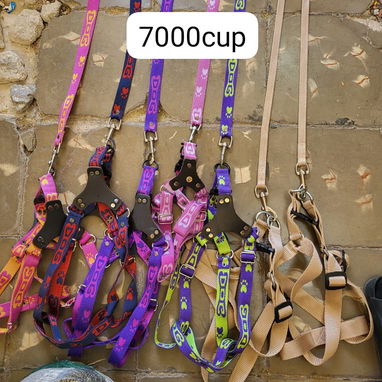 Correas para tus mascotas diferentes tallas y tipos - Img 125190375