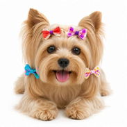 Lacitos Decorativos para el pelo de las Mascotas /4piezas - Img 57205410